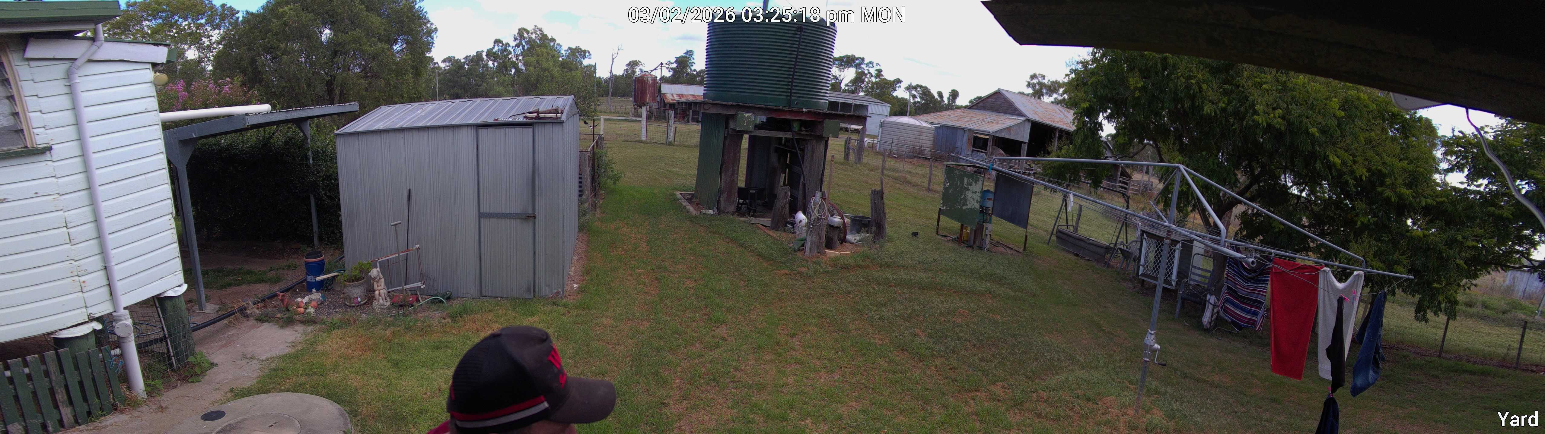 Yard_00_20260302152518.jpg